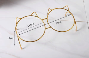 Enhance Your Pet's Dining Experience with Our Glass Material Cat Bowl