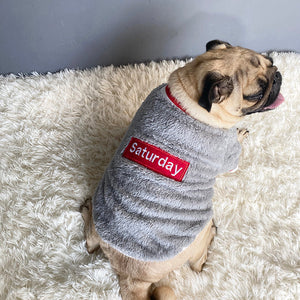 Stylish Comfort for Your Furry Friend
