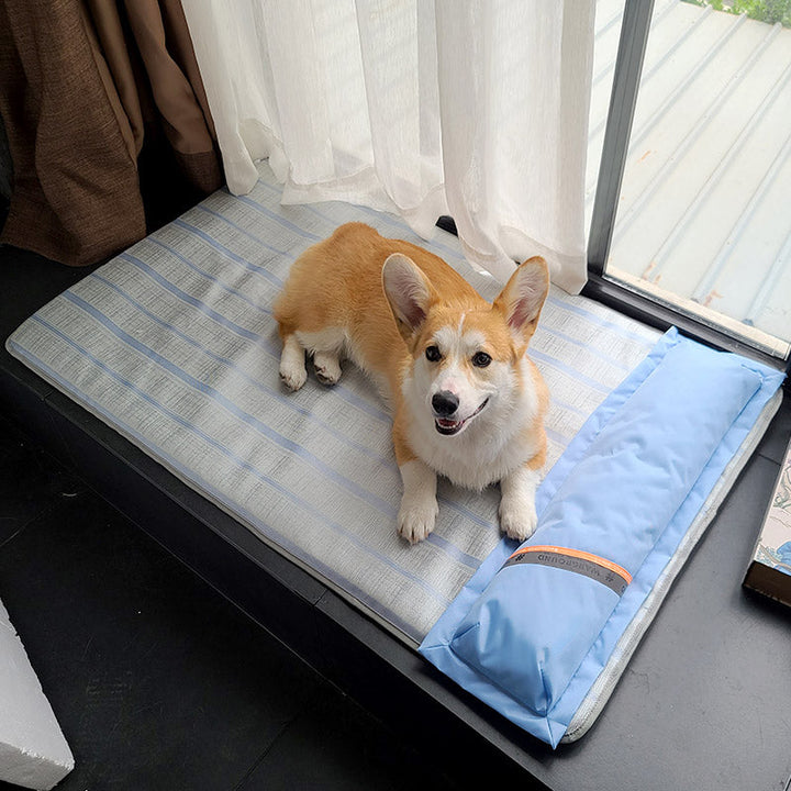 Transform Your Pet's Comfort with Our Summer Anti-Bite Non-Slip Pet Sleeping Mat