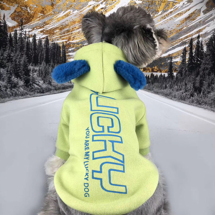 VIP Cat Plus Velvet Pet Sweater: The Ultimate Comfort for Your Feline Friend