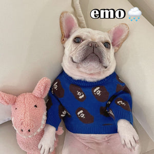 Why Your Pet Deserves the Trendy Winter Sweater
