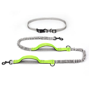 Unleash Adventure with Our Outdoor Running Dog Leash