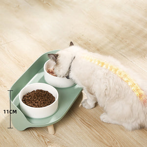The Tilted Double Pet Bowl: Elevate Your Pet's Dining Experience