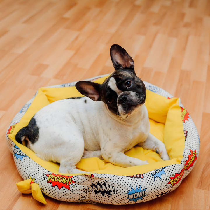 Choosing The Perfect Pet Bed