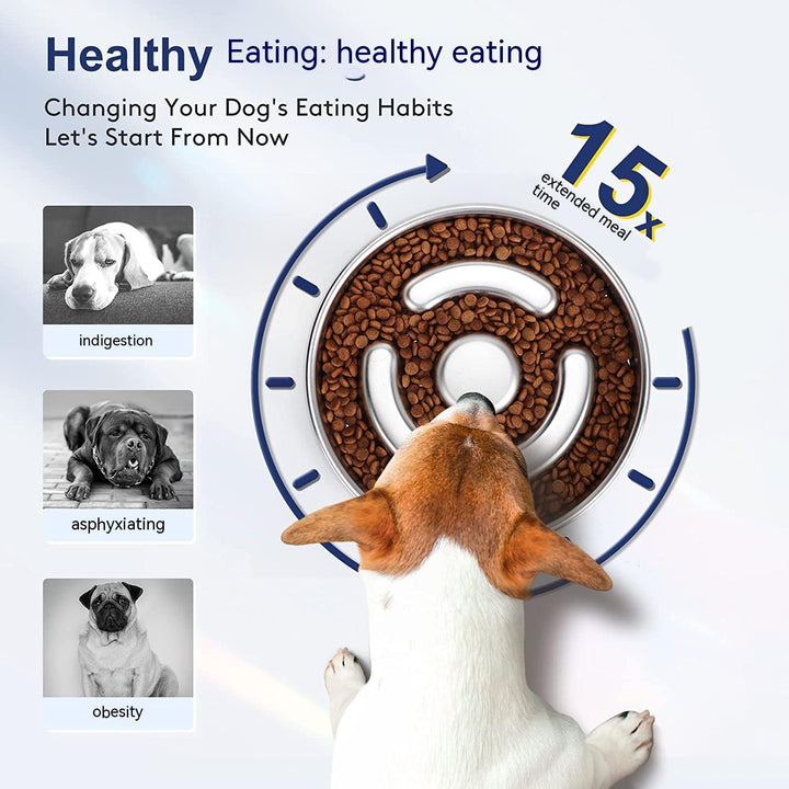 Why Your Pet Deserves the Stainless Steel Slow-Feed Bowl