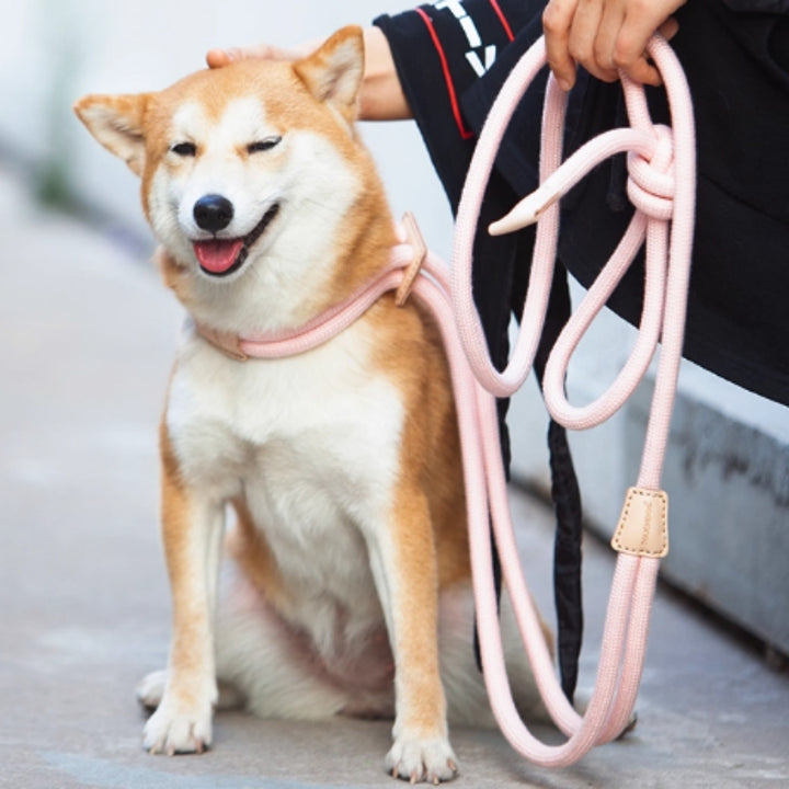 Multi-Functional Pet Chest Harness with Leash