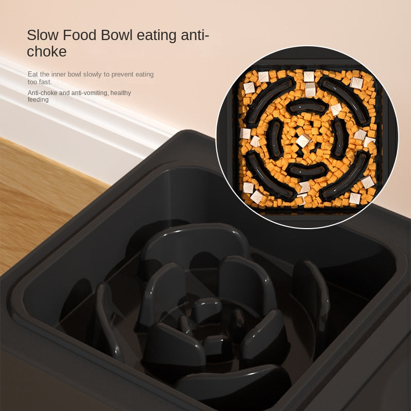 Adjustable Elevated Double Dog Bowls with Stand