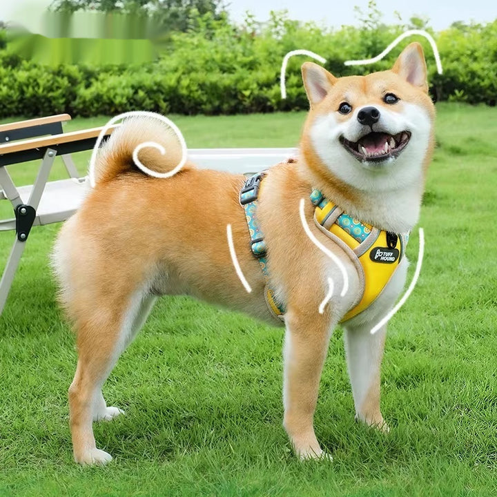 Vest-Style Pet Harness with Walking Leash