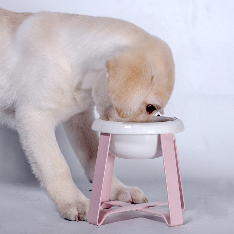 2-in-1 Anti-Slip Pet Food & Water Bowl with Stand