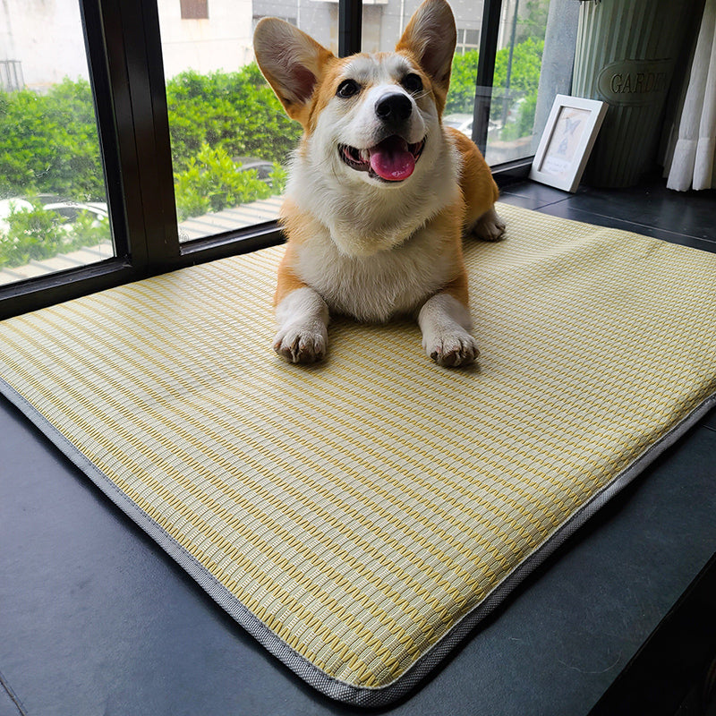 Summer Anti-Bite Non-Slip Pet Sleeping Mat
