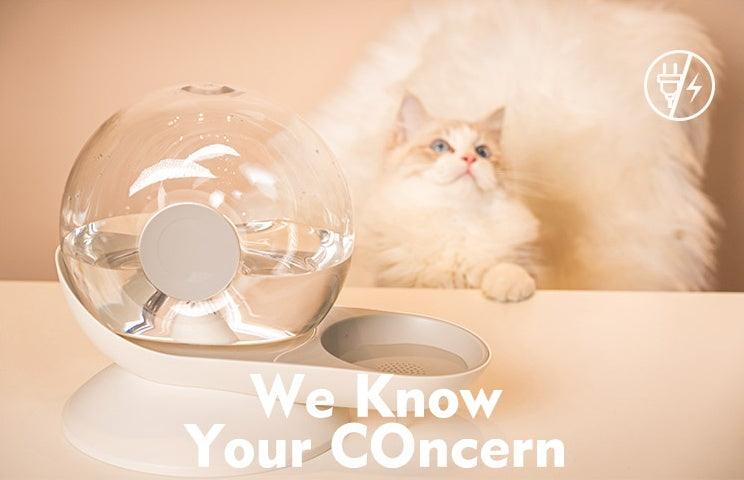 Automatic Cat Drinking Fountain with Filter