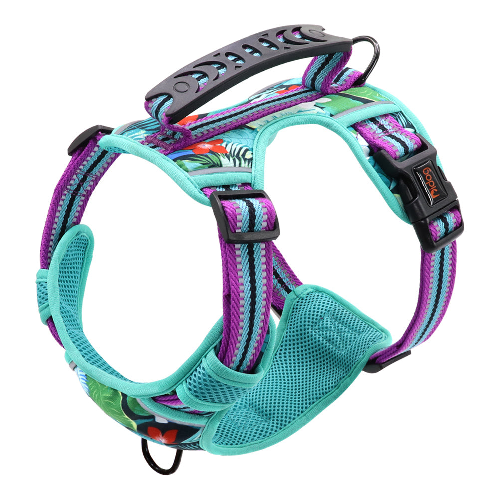 Pet Chest Harness with Leash for Dogs