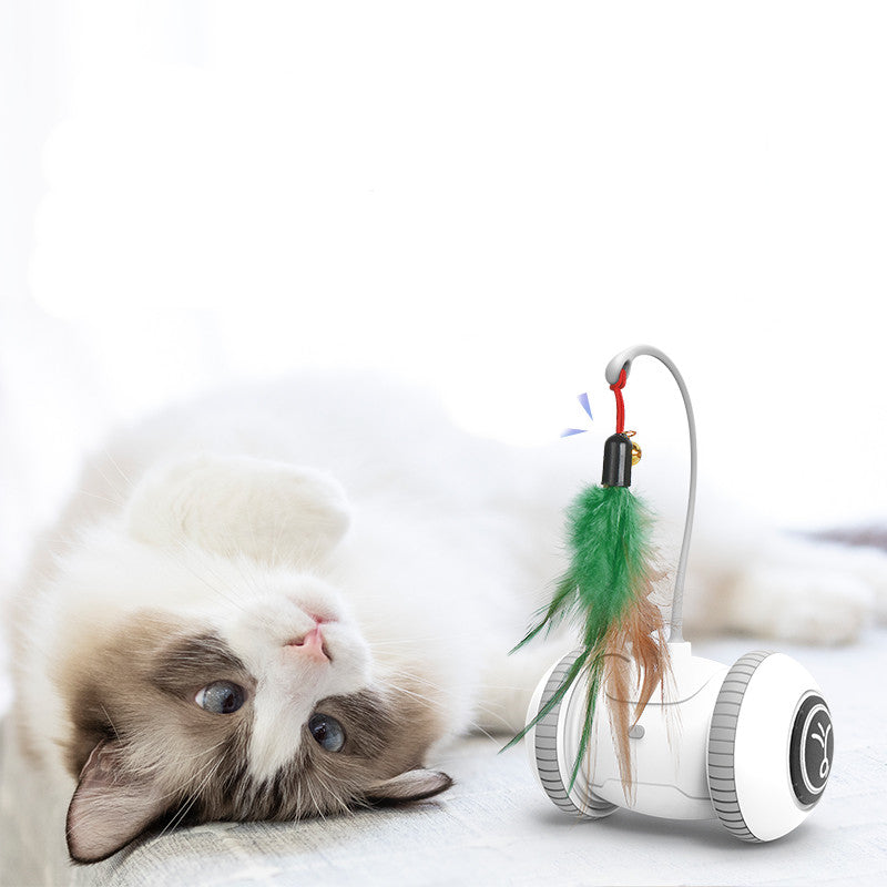 Interactive Cat Toy with Interchangeable Feather Heads