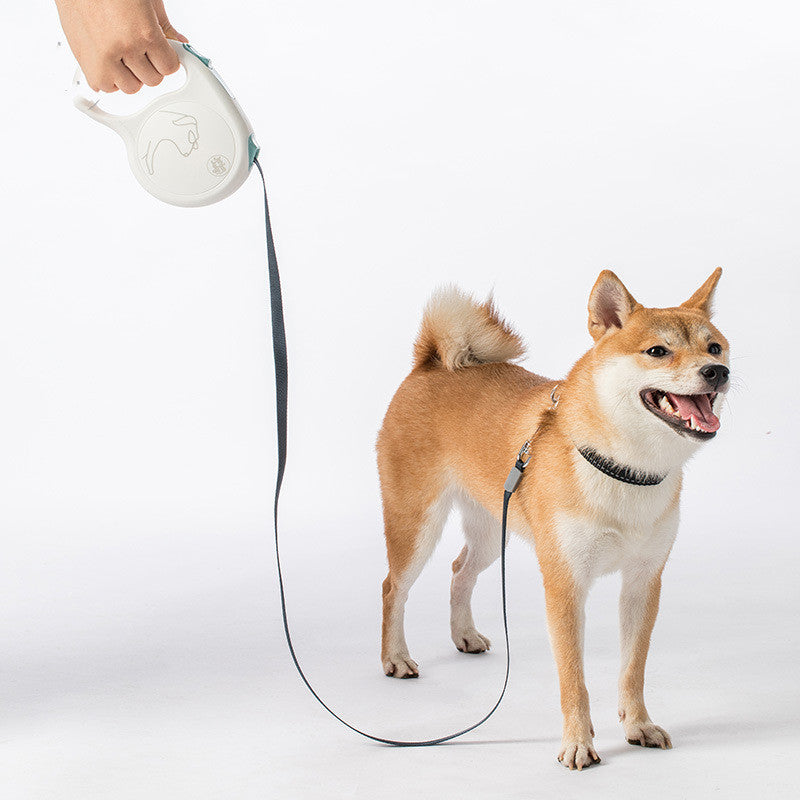 Retractable Leash for All Dog Sizes