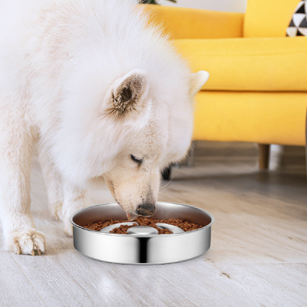 Stainless Steel Slow-Feed Pet Bowl