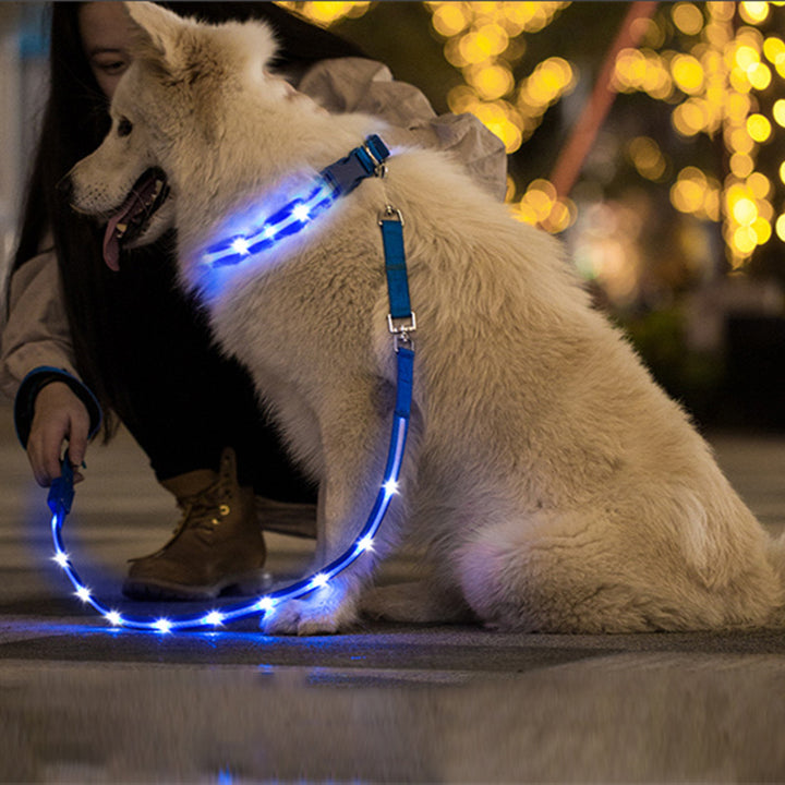 LED USB Rechargeable Luminous Pet Leash