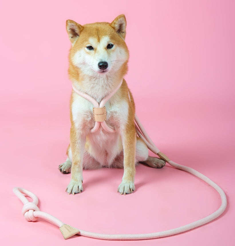 Dual-Purpose Round Rope Dog Leash