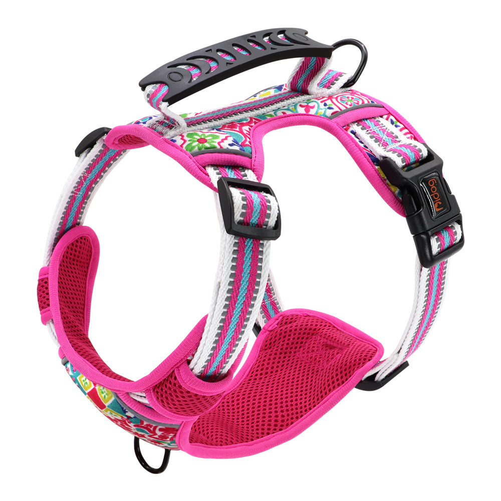Pet Chest Harness with Leash for Dogs