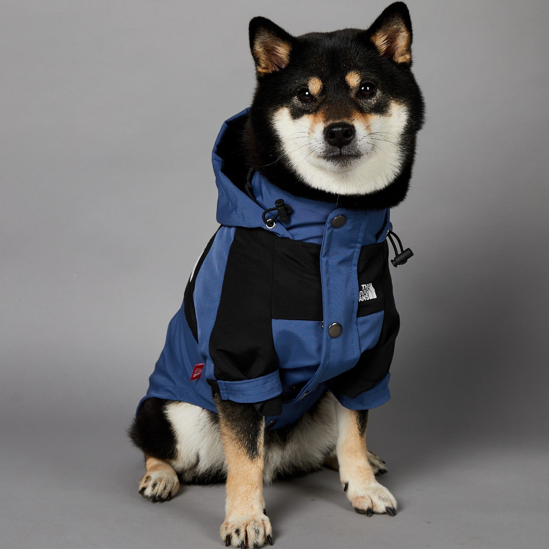 Windproof & Rainproof Large Dog Jacket