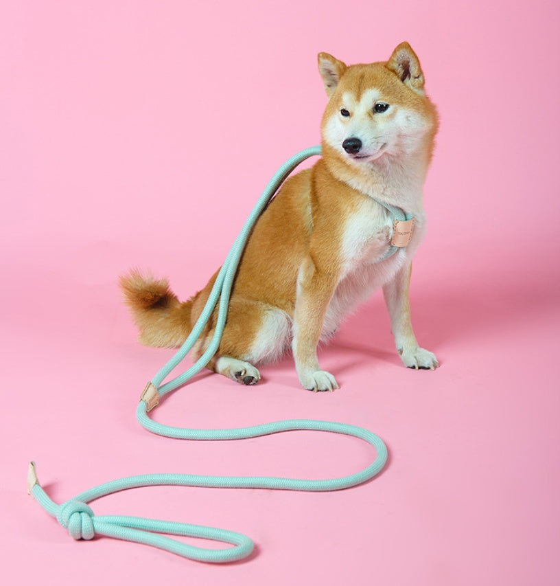 Dual-Purpose Round Rope Dog Leash