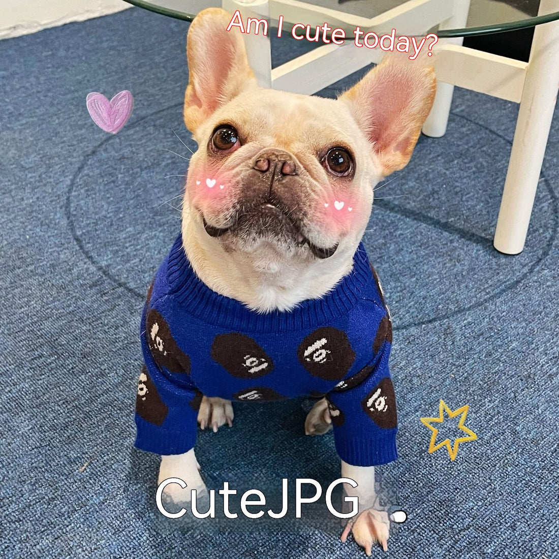 Trendy Winter Sweater for Dogs & Cats