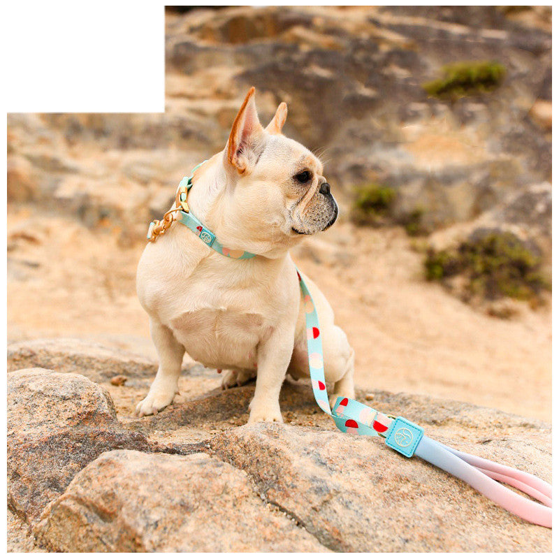 Y-Shaped Pet Chest Strap Leash