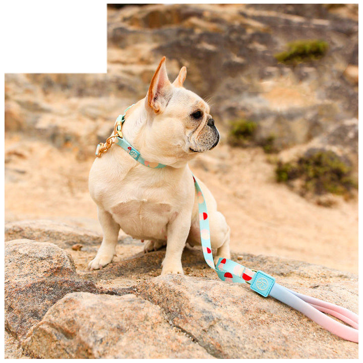 Y-Shaped Pet Chest Strap Leash