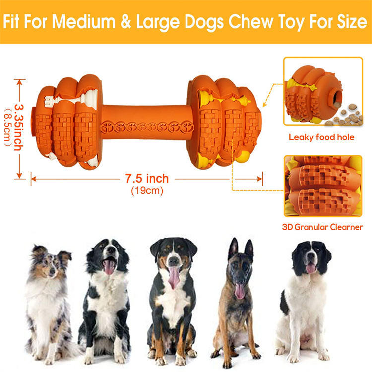 Durable Interactive Chew Toy for Medium & Large Dogs