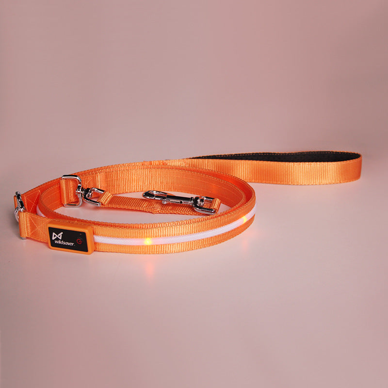 LED USB Rechargeable Luminous Pet Leash