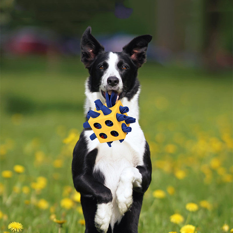 Dog Cube Molar Chew Toy for Education