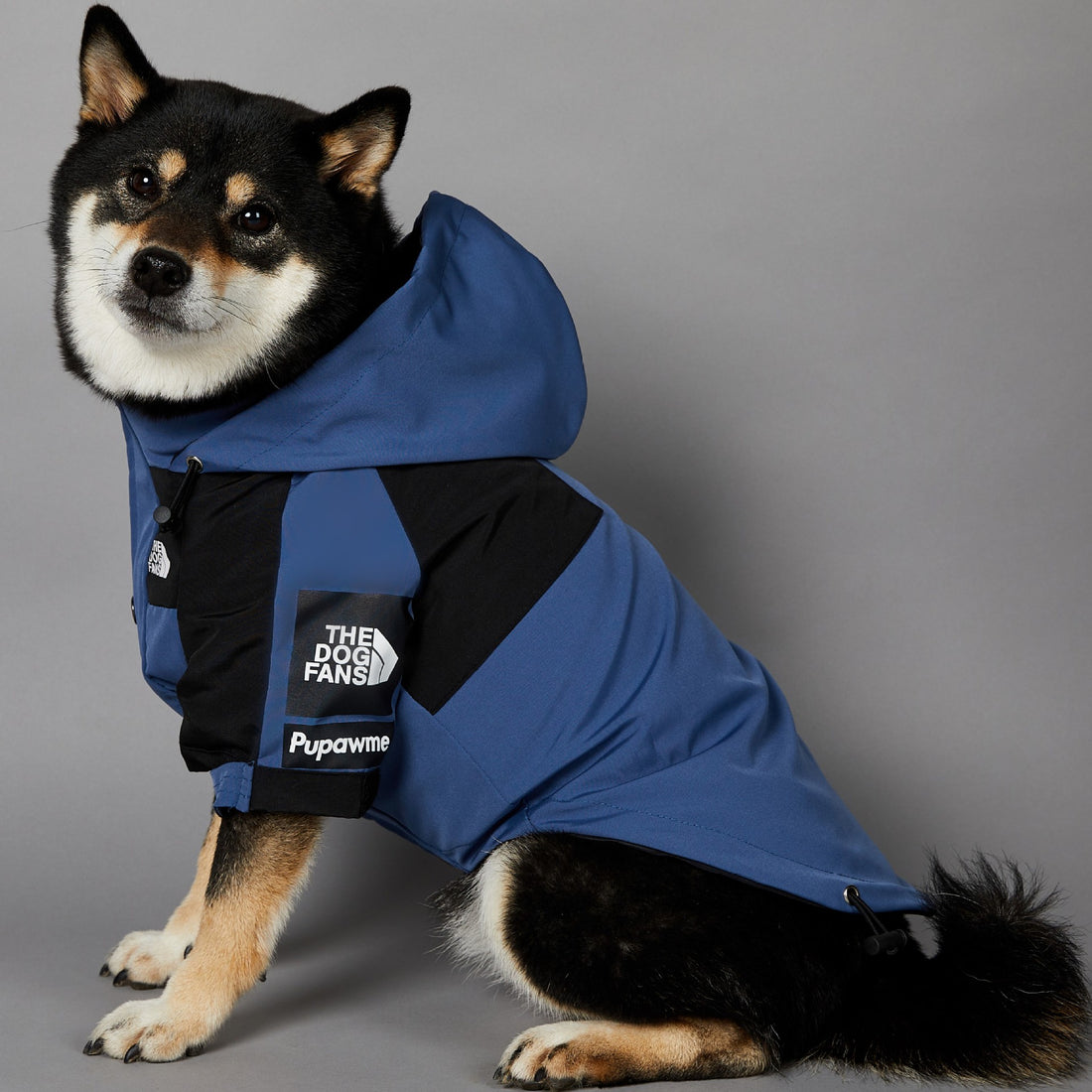 Windproof & Rainproof Large Dog Jacket