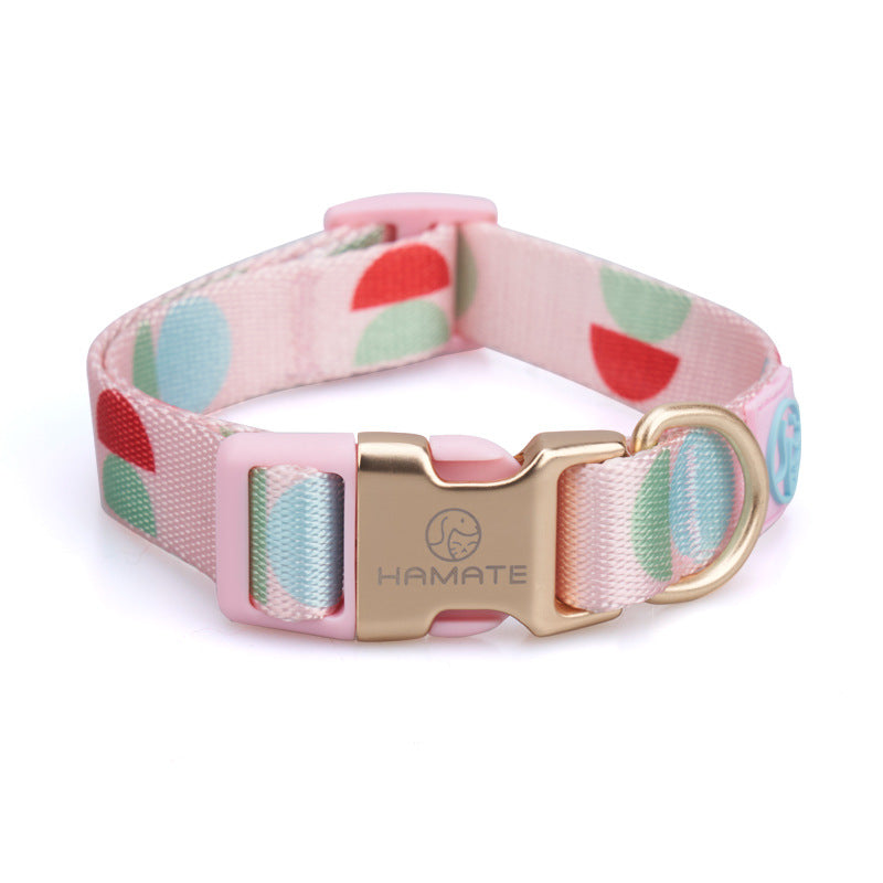 Y-Shaped Pet Chest Strap Leash