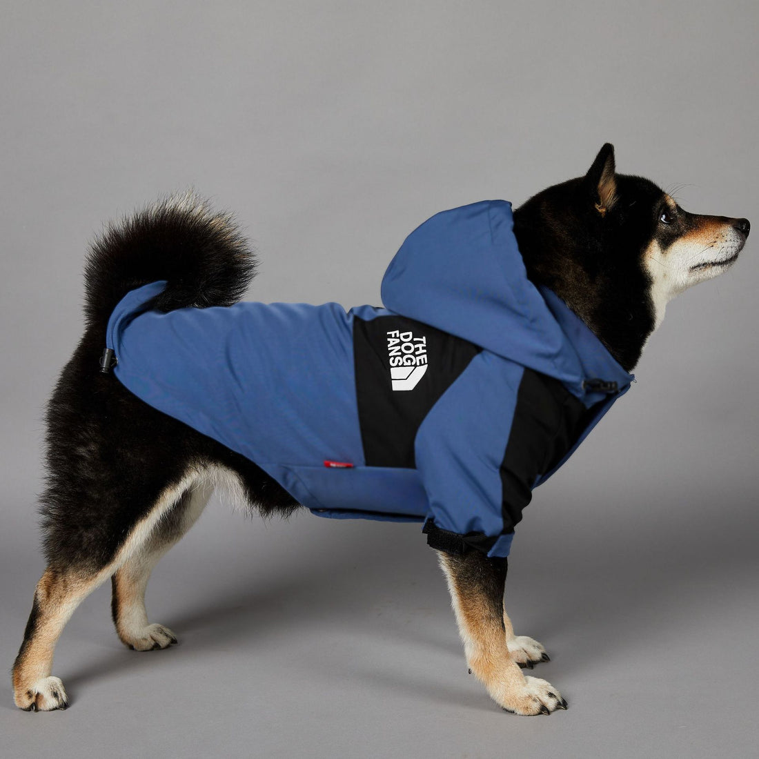 Windproof & Rainproof Large Dog Jacket