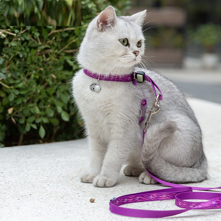 Cat & Small Dog Bell Chest Strap Harness