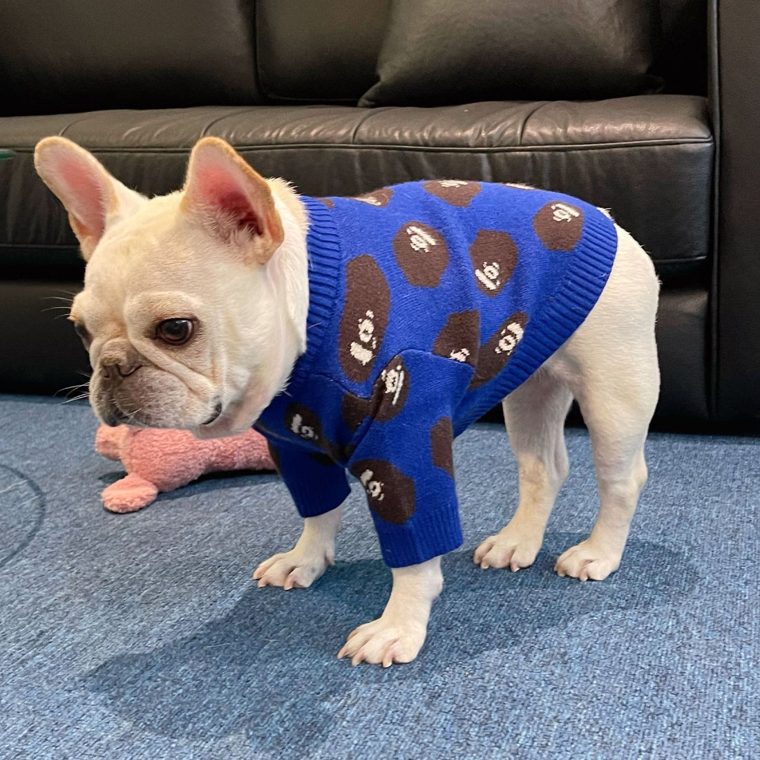 Trendy Winter Sweater for Dogs & Cats