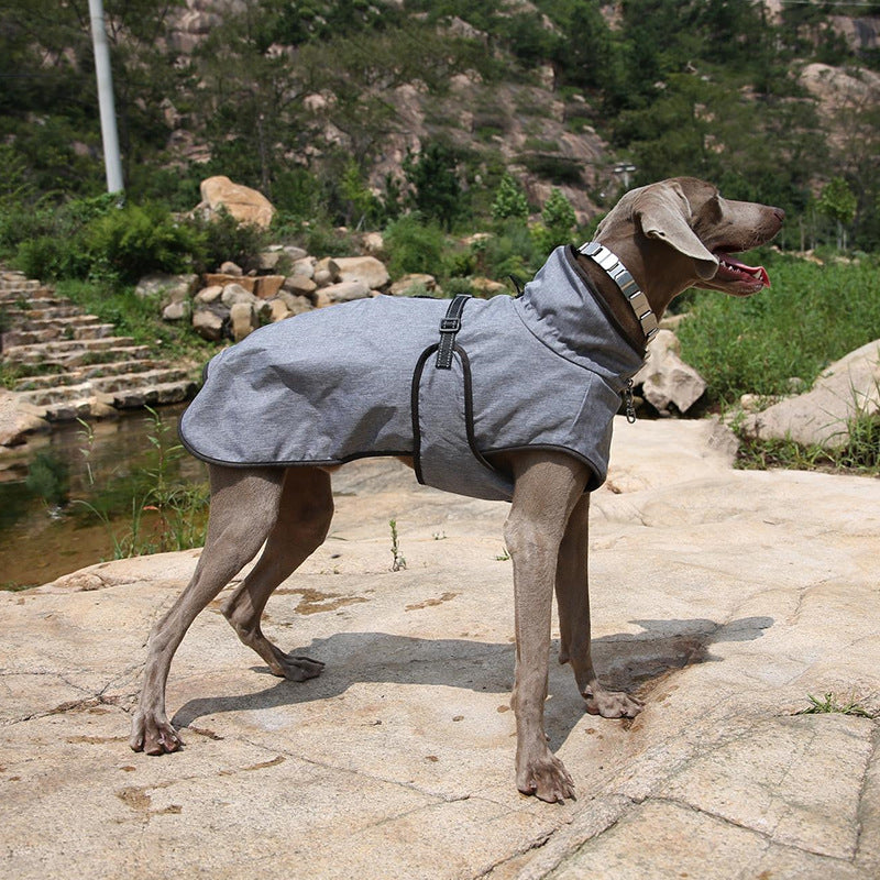 Dog Winter Outdoor Ski Jacket