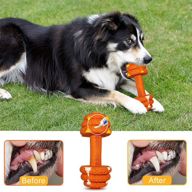 Durable Interactive Chew Toy for Medium & Large Dogs