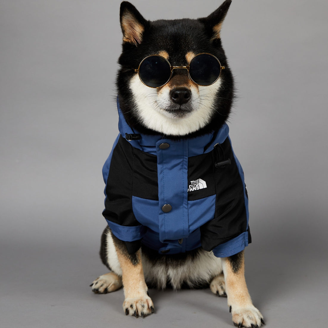 Windproof & Rainproof Large Dog Jacket