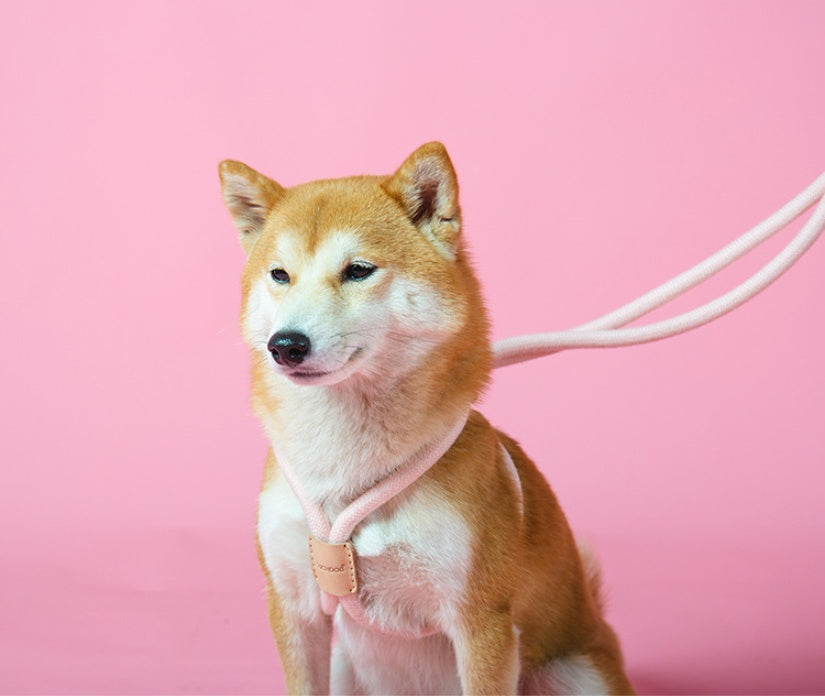 Dual-Purpose Round Rope Dog Leash