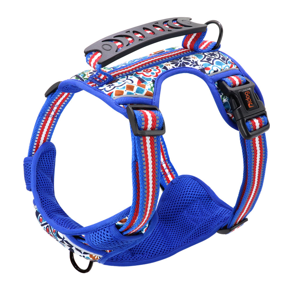 Pet Chest Harness with Leash for Dogs