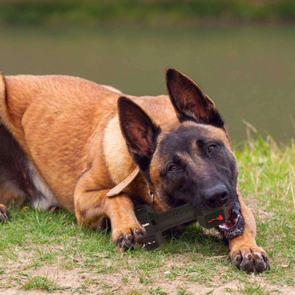 Durable Interactive Chew Toy for Medium & Large Dogs