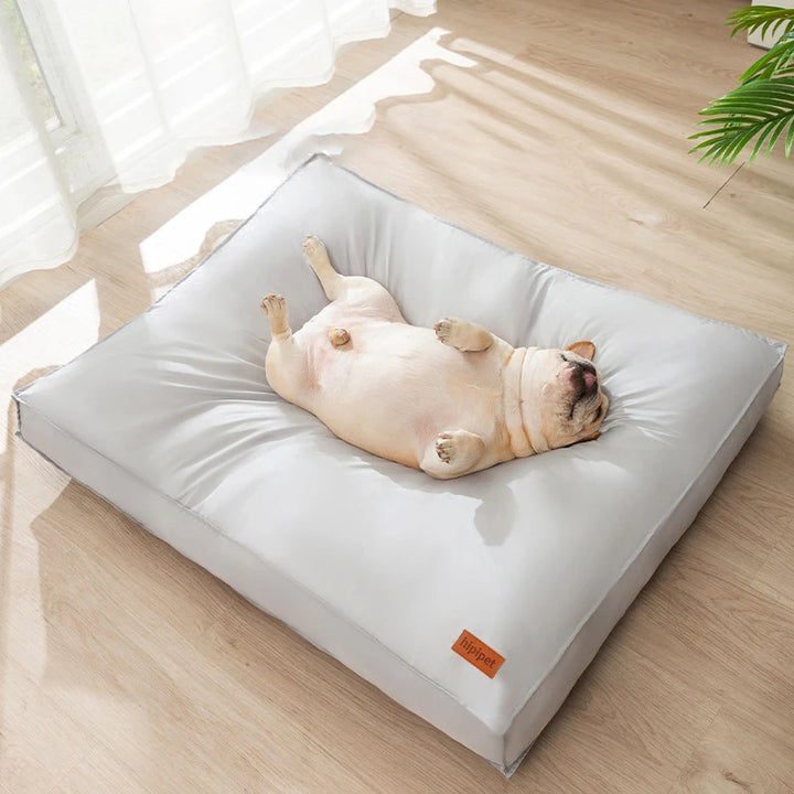 Waterproof Pet Bed for Dogs & Cats
