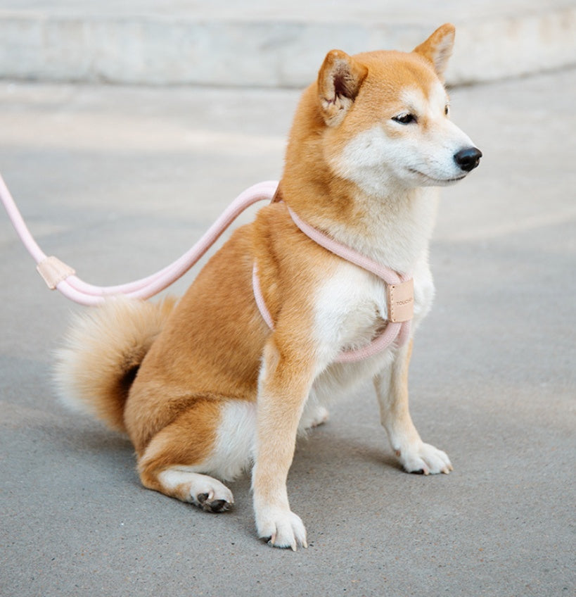Dual-Purpose Round Rope Dog Leash