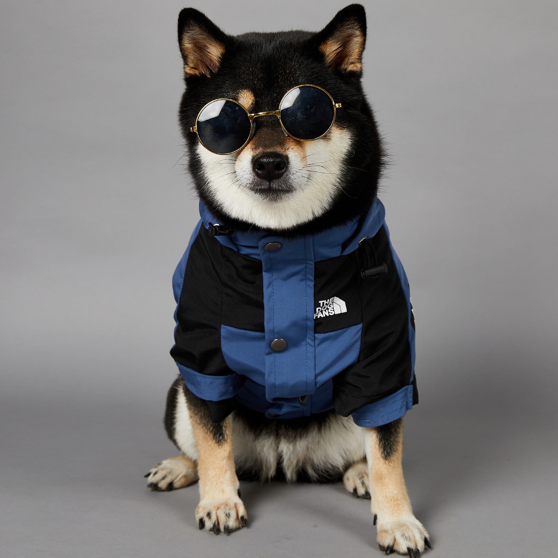 Windproof & Rainproof Large Dog Jacket