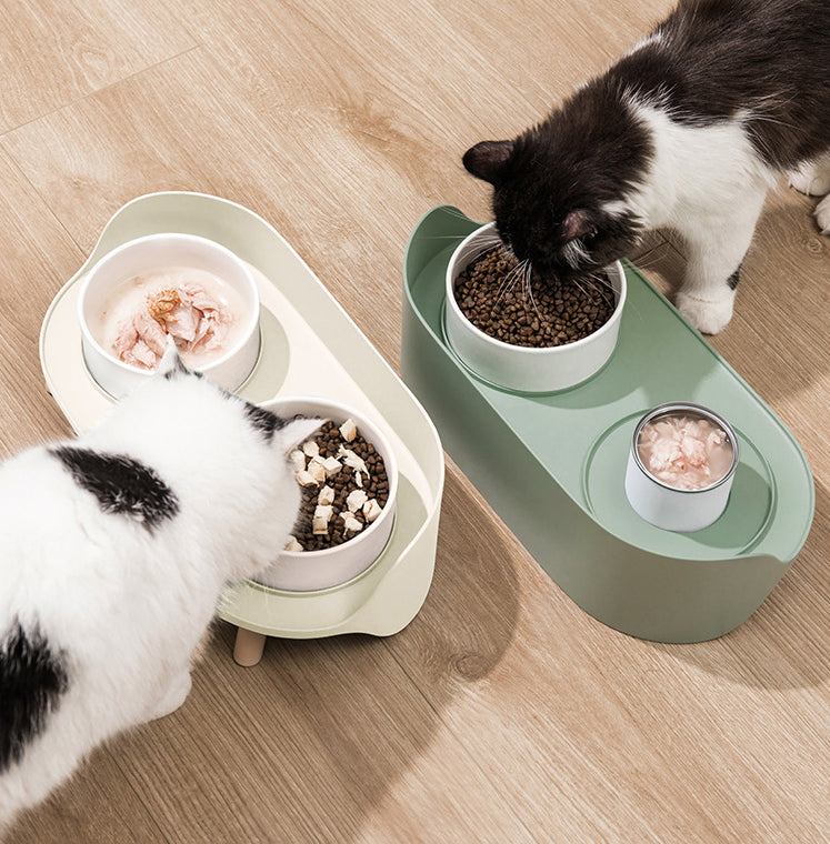 Tilted Double Pet Bowl for Cats & Dogs