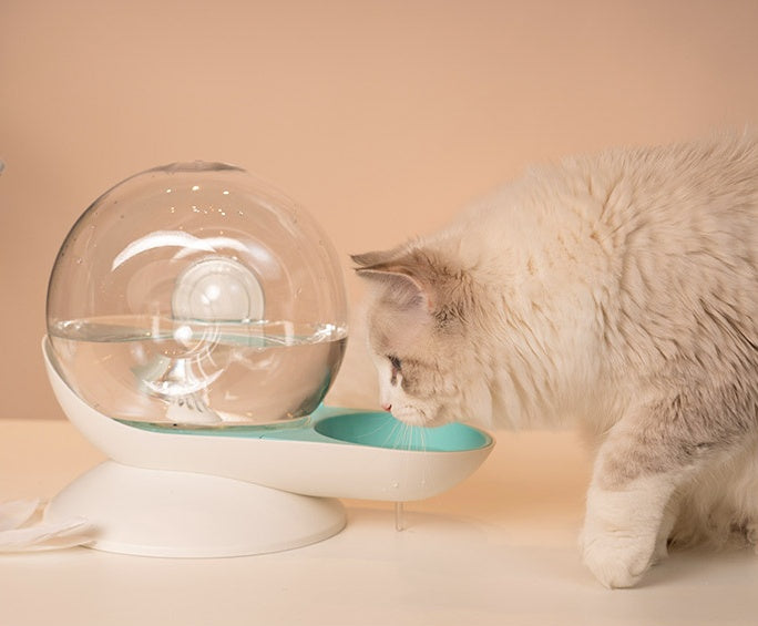 Automatic Cat Drinking Fountain with Filter
