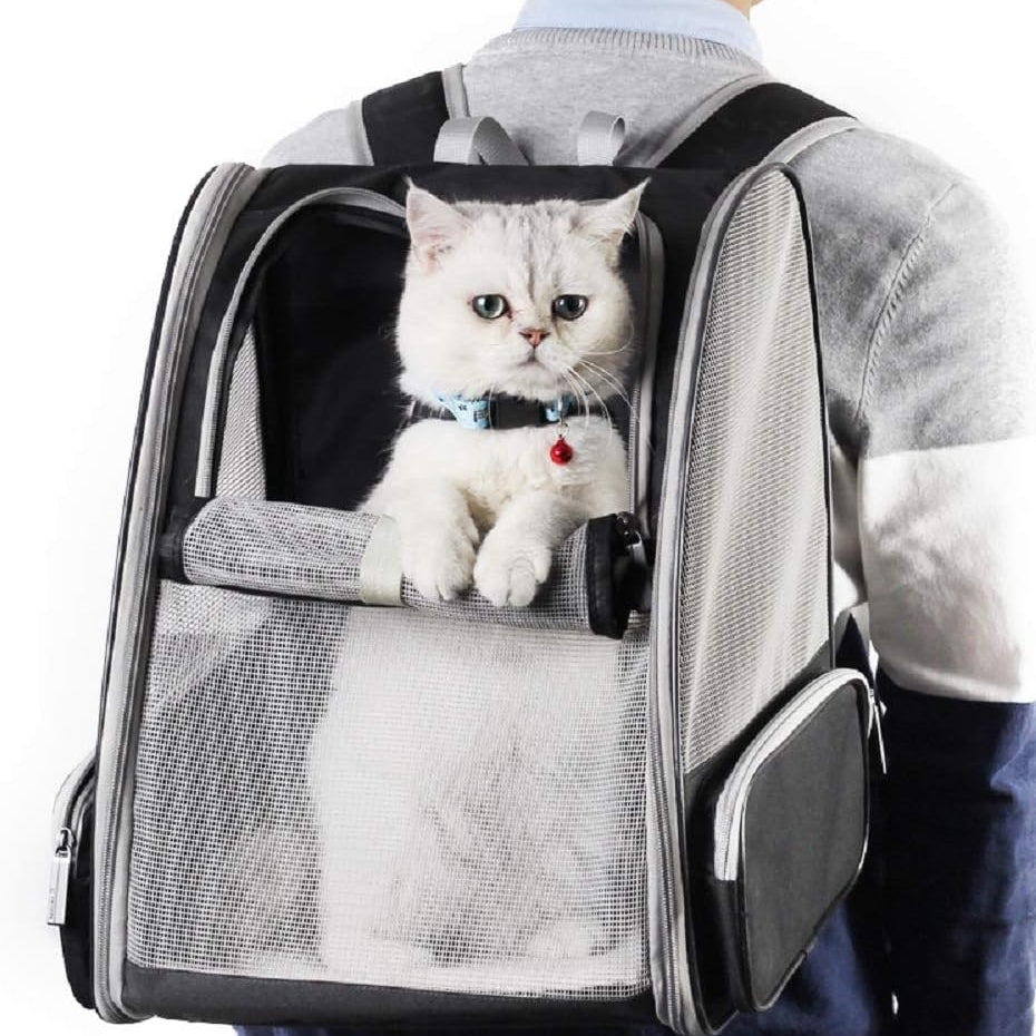 Traveler Bubble Backpack for Cats & Dogs