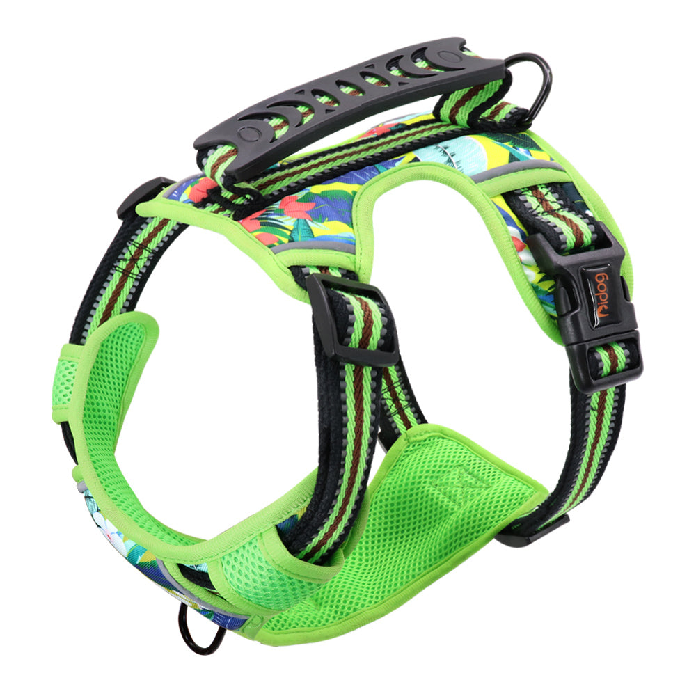 Pet Chest Harness with Leash for Dogs