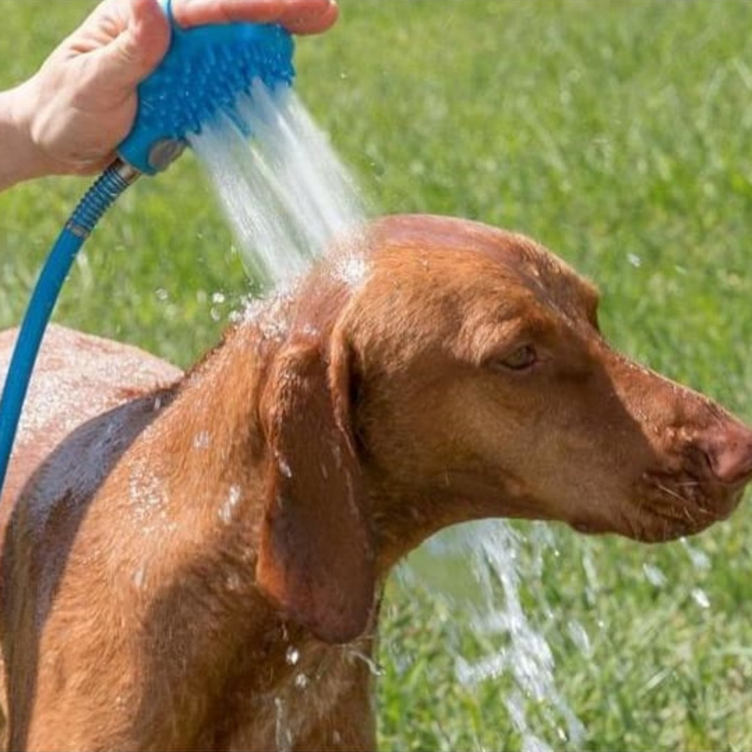 Silicone Pet Bathing Gloves with Shower Nozzle