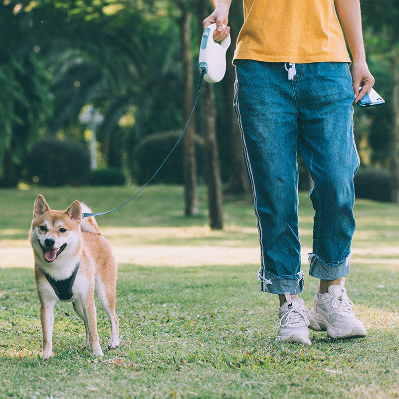 Retractable Leash for All Dog Sizes